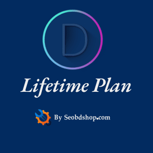 Seo Tools Bd 13 divi theme